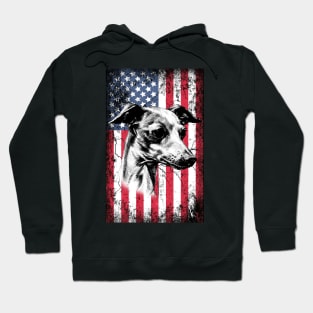 Patriotic Greyhound American Flag Hoodie